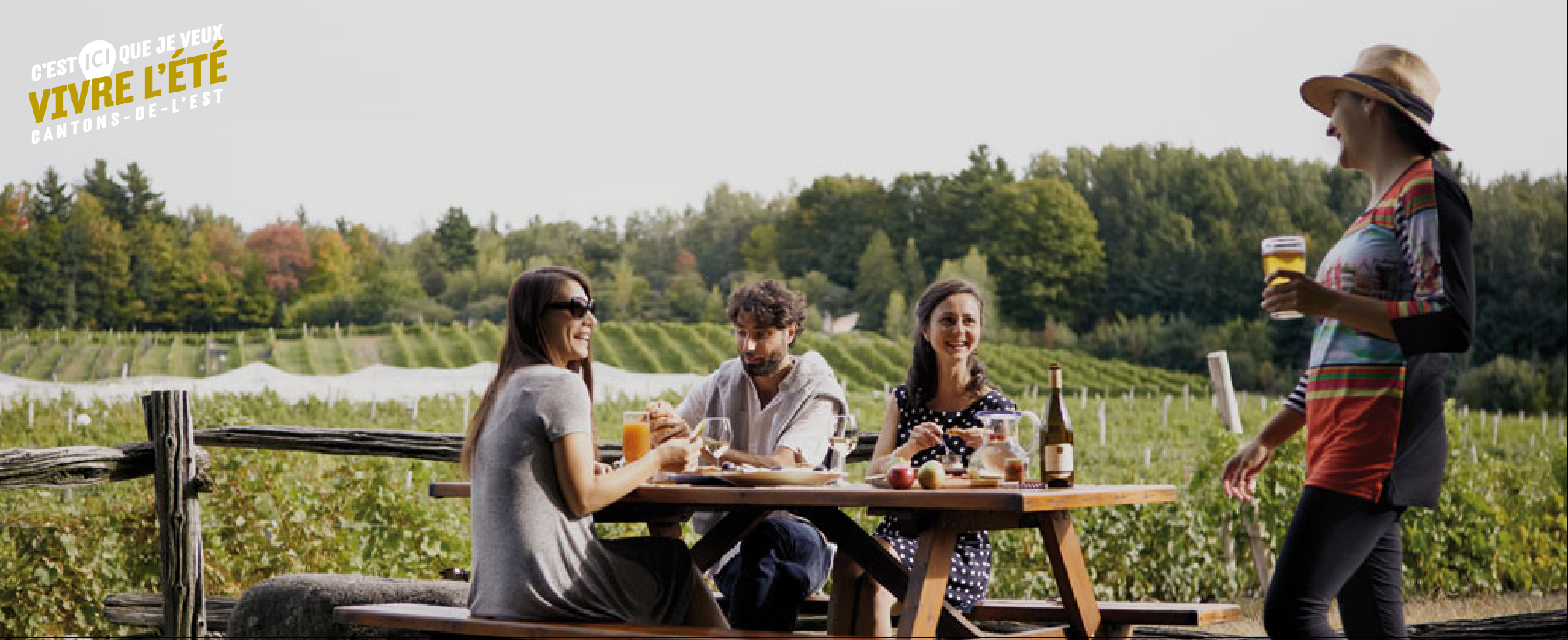 Vivez l’expérience de La Route des vins Brome-Missisquoi!