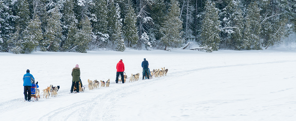 Quoi faire pour créer des souvenirs cet hiver