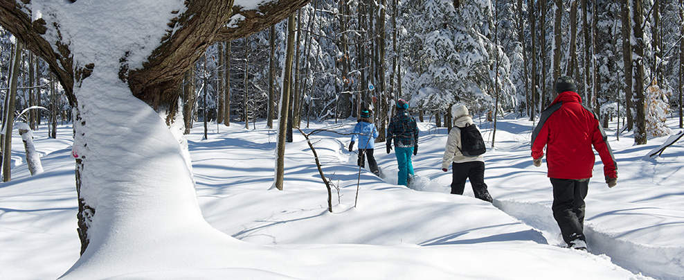 Quoi faire pour profiter de l’hiver