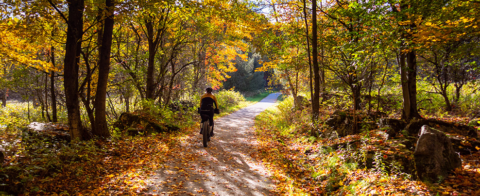 Quoi faire pour prolonger l’automne