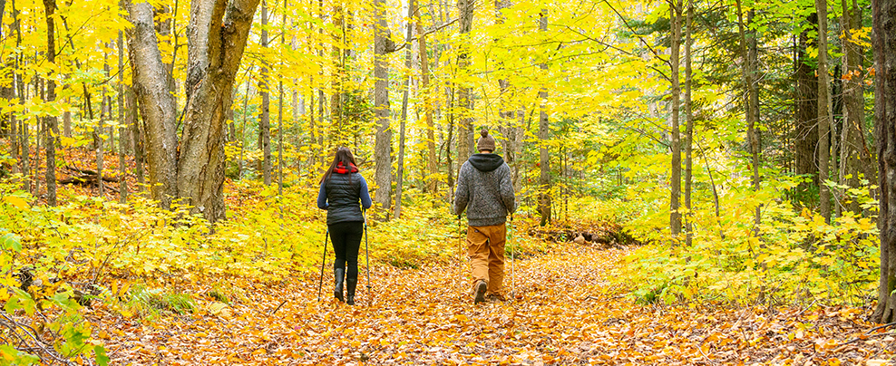 Où faire de la randonnée pédestre cet automne au Québec