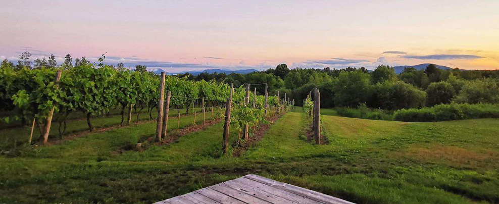 Memphrémagog : la destination de choix pour un maximum de plaisir!