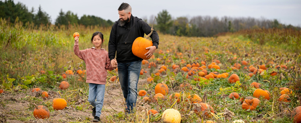 Vaudreuil-Soulanges en automne : nature, agrotourisme et plaisirs en famille