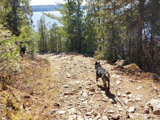 Alaskan du Nord - Saguenay–Lac-Saint-Jean