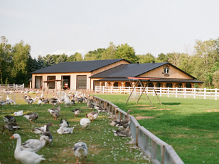 Au Gîte des Oies