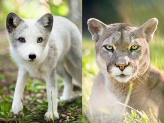 Bioparc de la Gaspésie