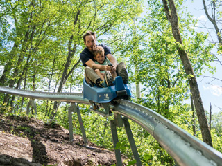 Camp Fortune luge, parc aérien et tyroliennes