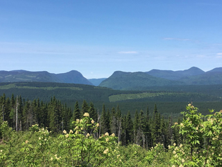 Camping de la Réserve Dunière - Gaspésie