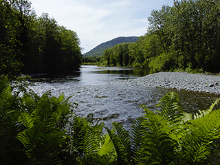 Camping de la réserve faunique de Matane