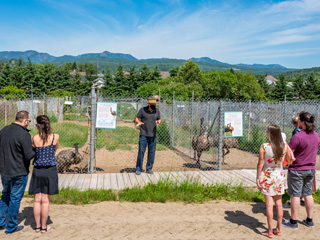 Centre de l'Émeu de Charlevoix