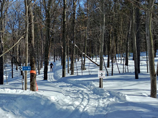 Ski de fond Charlesbourg