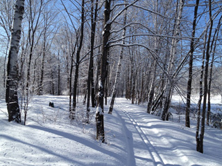 Centre de ski de fond Robert-Giguère - Québec