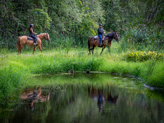 Centre d'équitation Nouvelle-France