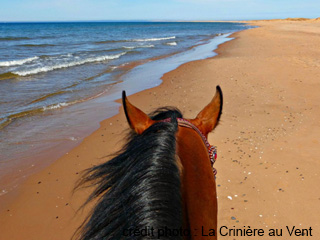 Centre Équestre La Crinière au Vent - Îles-de-la-Madeleine