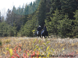 Centre Équestre Nature/Cheval Enchanteur