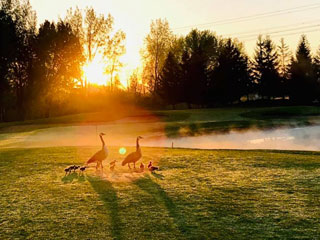 Club de golf de l'Île de Montréal