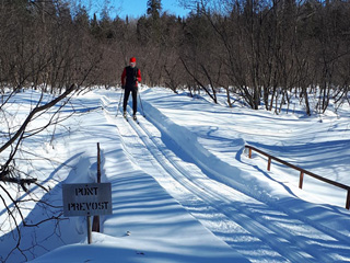 Club de ski de fond de Thetford
