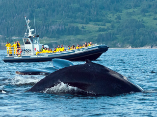 Croisières baie de Gaspé inc.