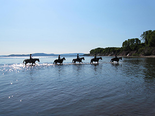 Le Domaine du Centaure