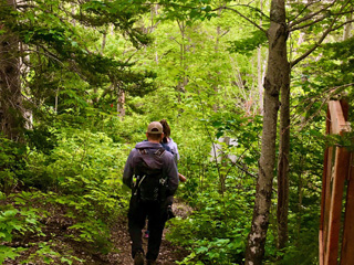 Évasion Nature Petite-Vallée