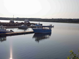 Excursions à l'île aux Basques