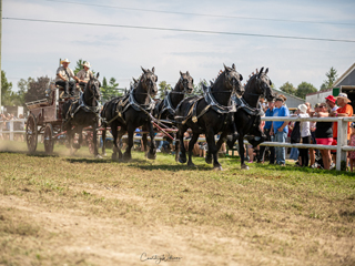 Exposition agricole de Shawville