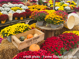 Ferme Bédard et Blouin