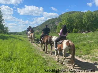 Ferme Captiva / Captiva Farms