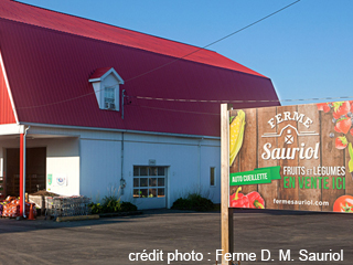 Ferme D. M. Sauriol