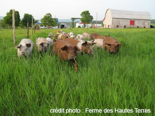 Ferme des Hautes Terres