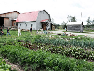 Ferme Des Petits Torrieux