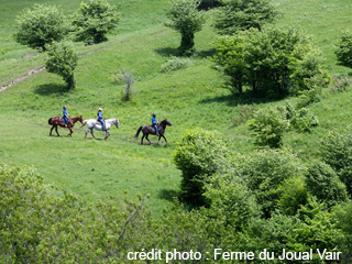 Ferme du Joual Vair