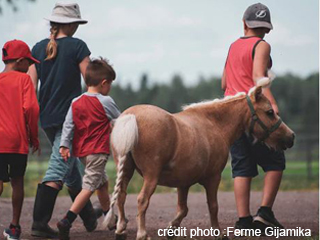 Ferme Gijamika