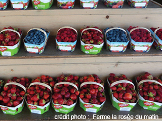 Ferme la rosée du matin