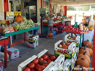 Ferme Perron