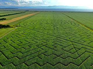 Grand labyrinthe Kamouraska