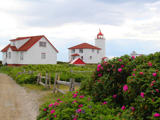 Île Verte (Notre-Dame-des-Sept-Douleurs)