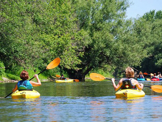 Kayak Safari