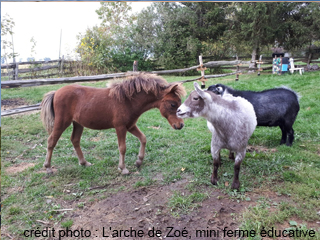 L'arche de Zoé, mini ferme éducative