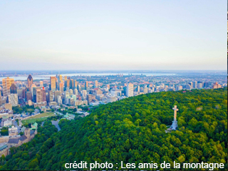 Belvédère du Mont-Royal