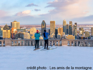 Belvédère du Mont-Royal