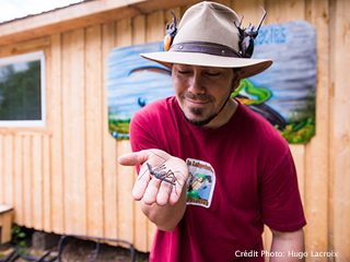 Le Labyrinthe des Insectes