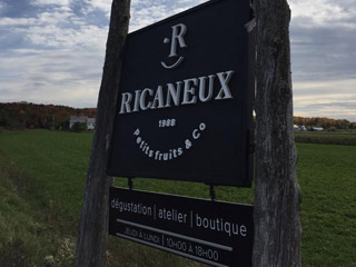 Le Ricaneux