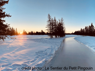 Le Sentier du Petit Pingouin