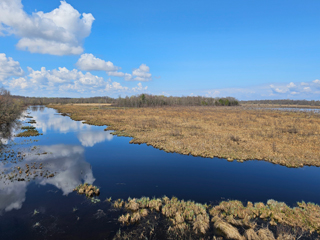 Les Amis de la réserve nationale de la faune du Lac-Saint-François