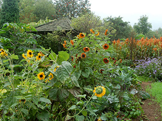 Les Jardins du Grand-Portage