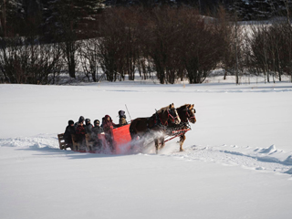 Les montagnards de Charlevoix