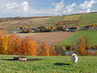 L'Union des producteurs agricoles