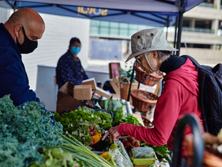 Marché public Solar