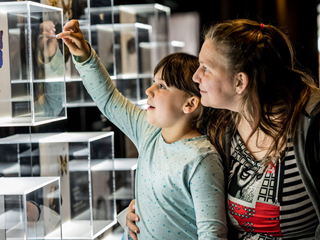 Musée de la nature et des sciences de Sherbrooke - Cantons-de-l'Est